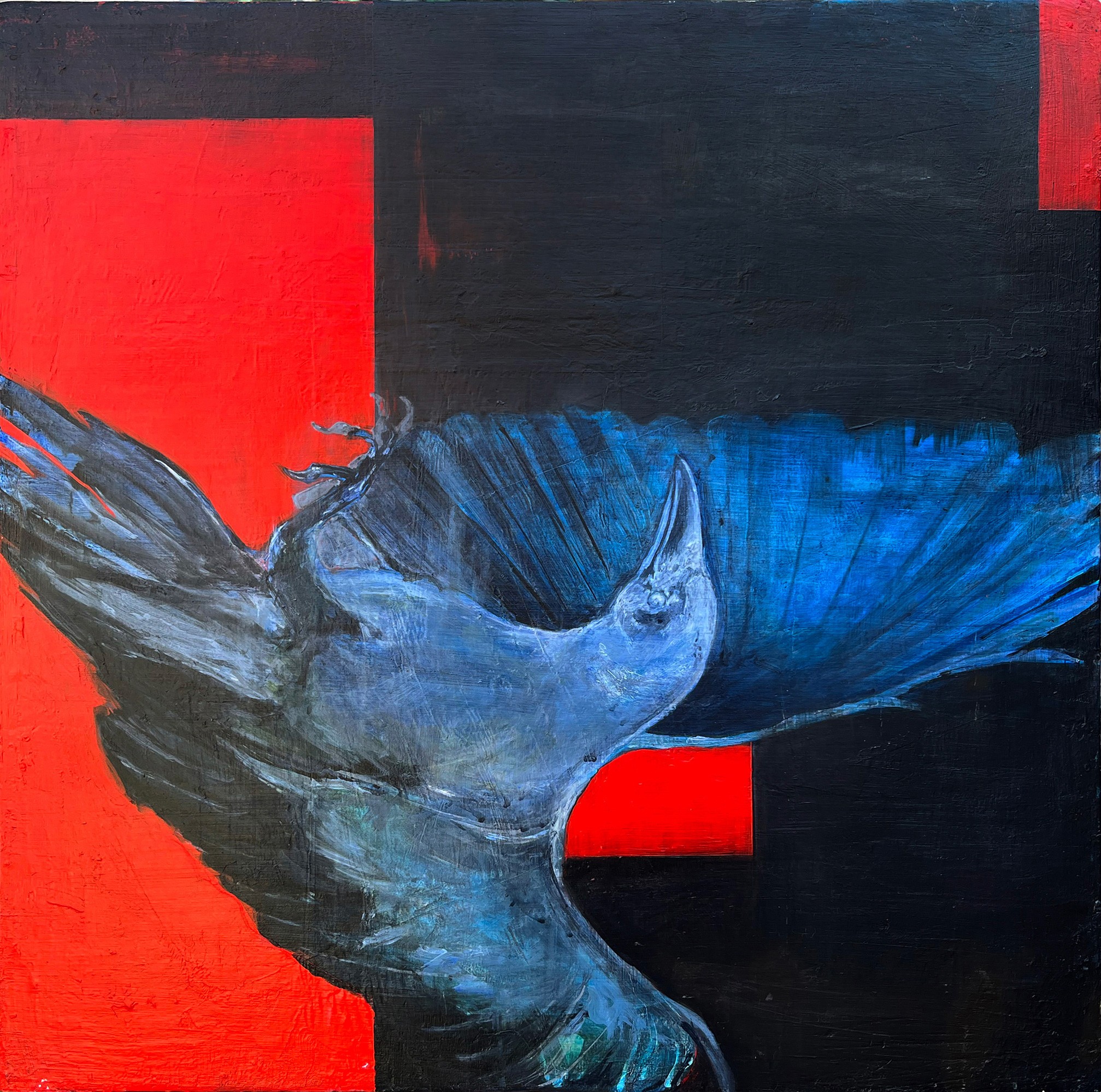 David Hannan — artwork