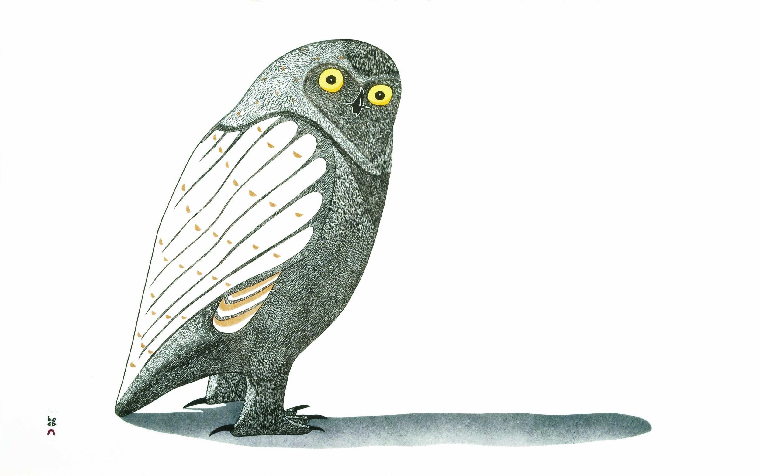 Kananginak Pootoogook — artwork