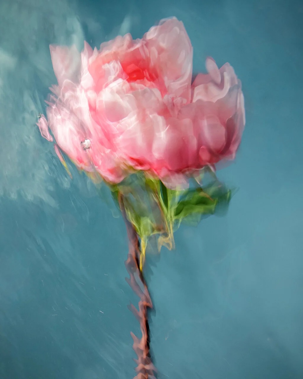 Barbara Cole — artwork