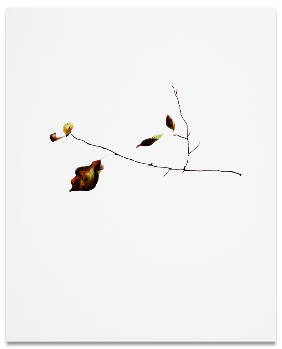 Niloufar Salimi — artwork