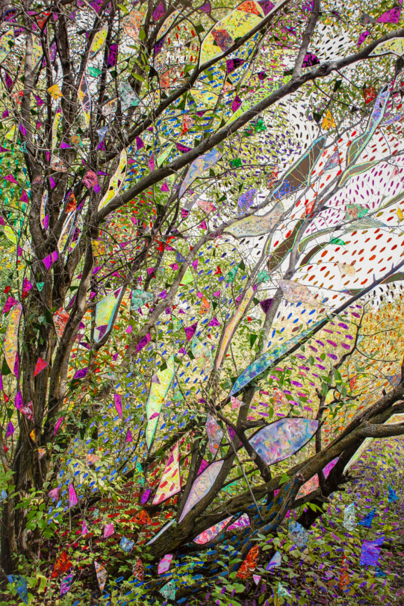 Sarah Anne Johnson — artwork