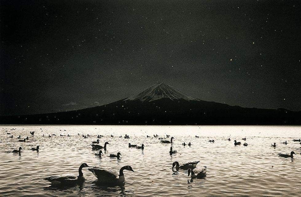 Masao Yamamoto — artwork