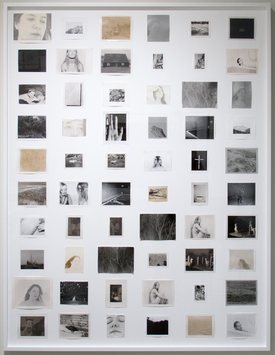 Deanna Pizzitelli — artwork