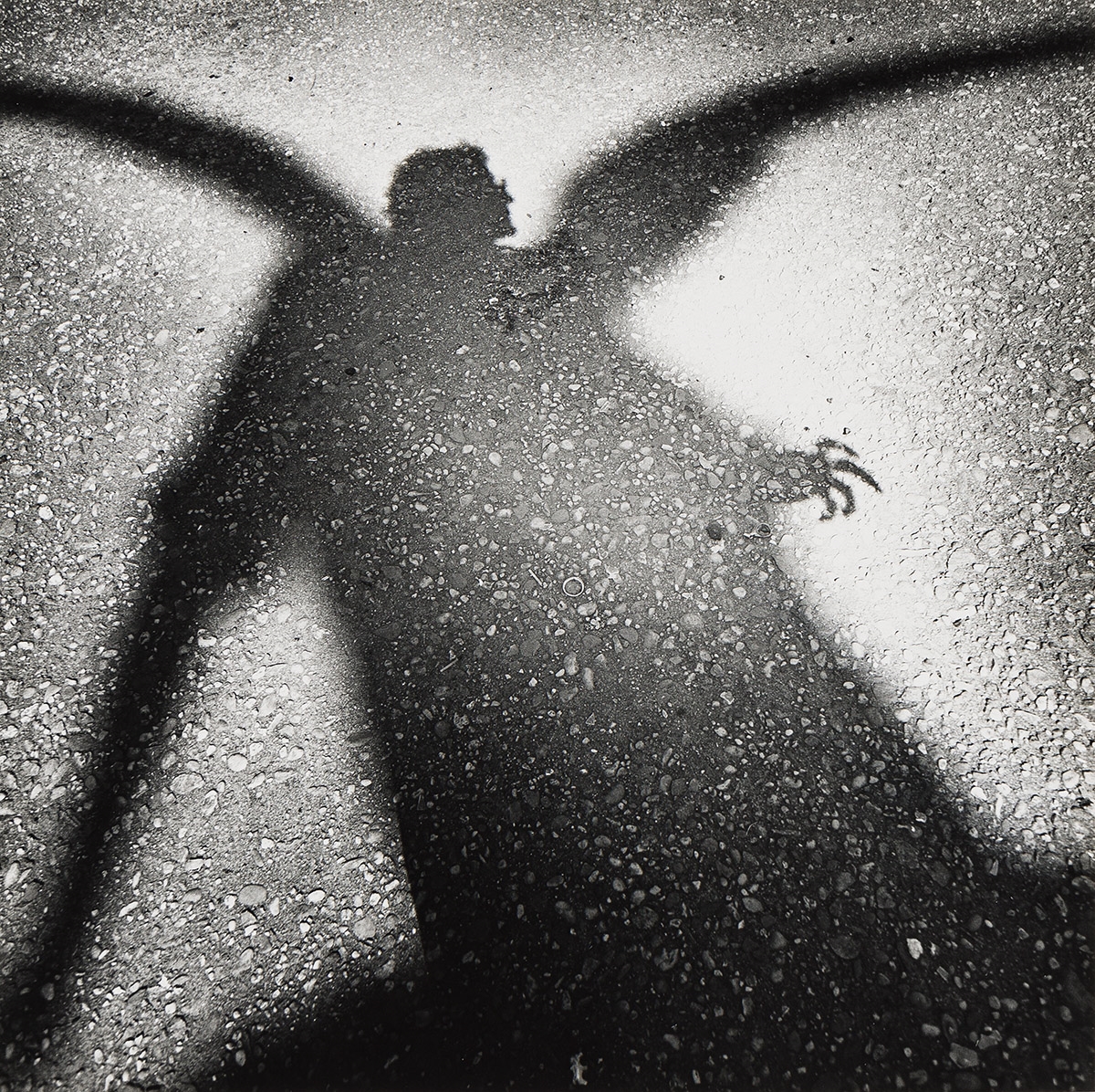 Arthur Tress — artwork
