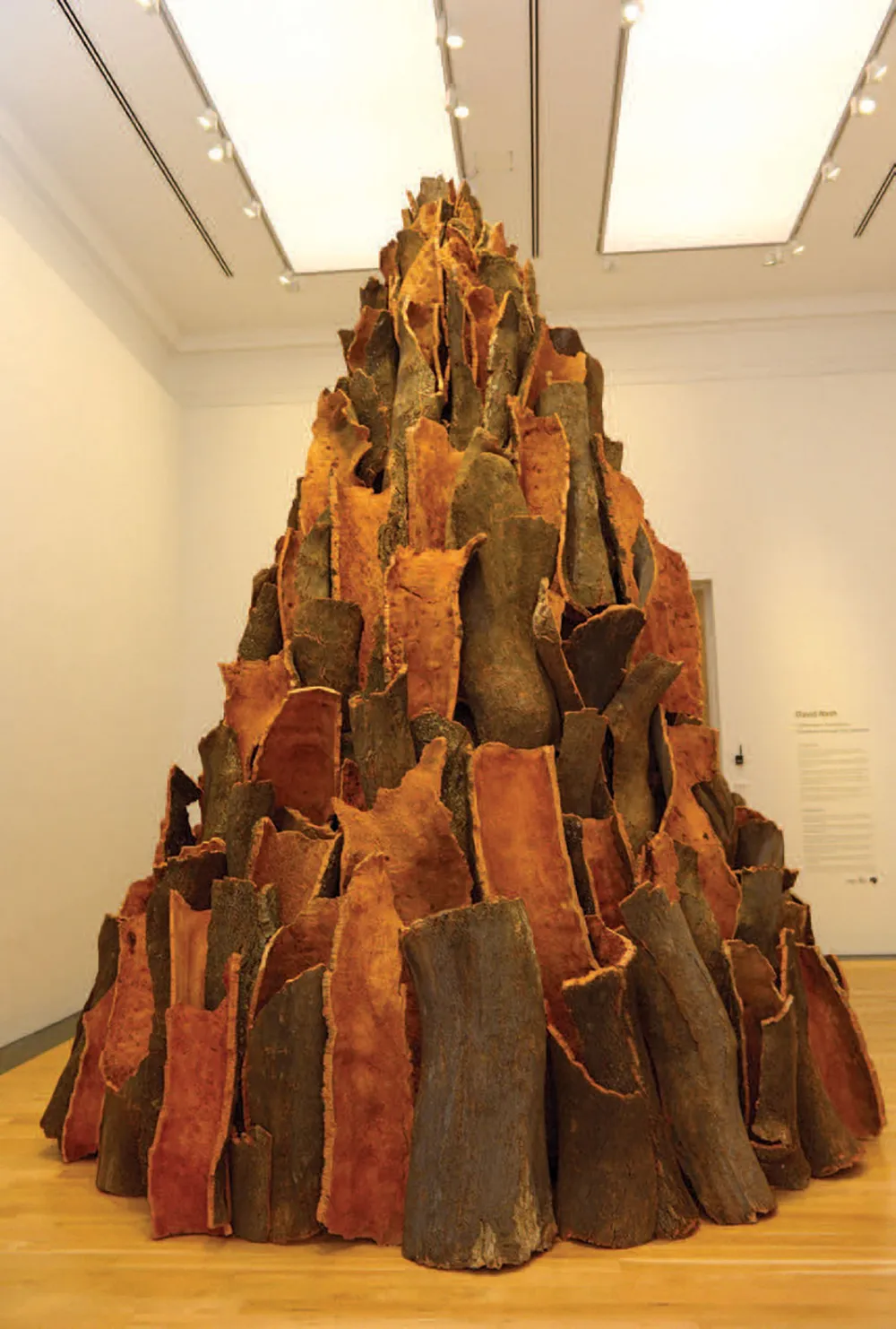 David Nash