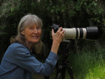 Birgit Freybe Bateman