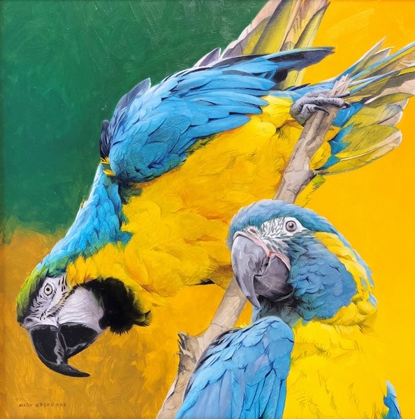 Mark Eberhard