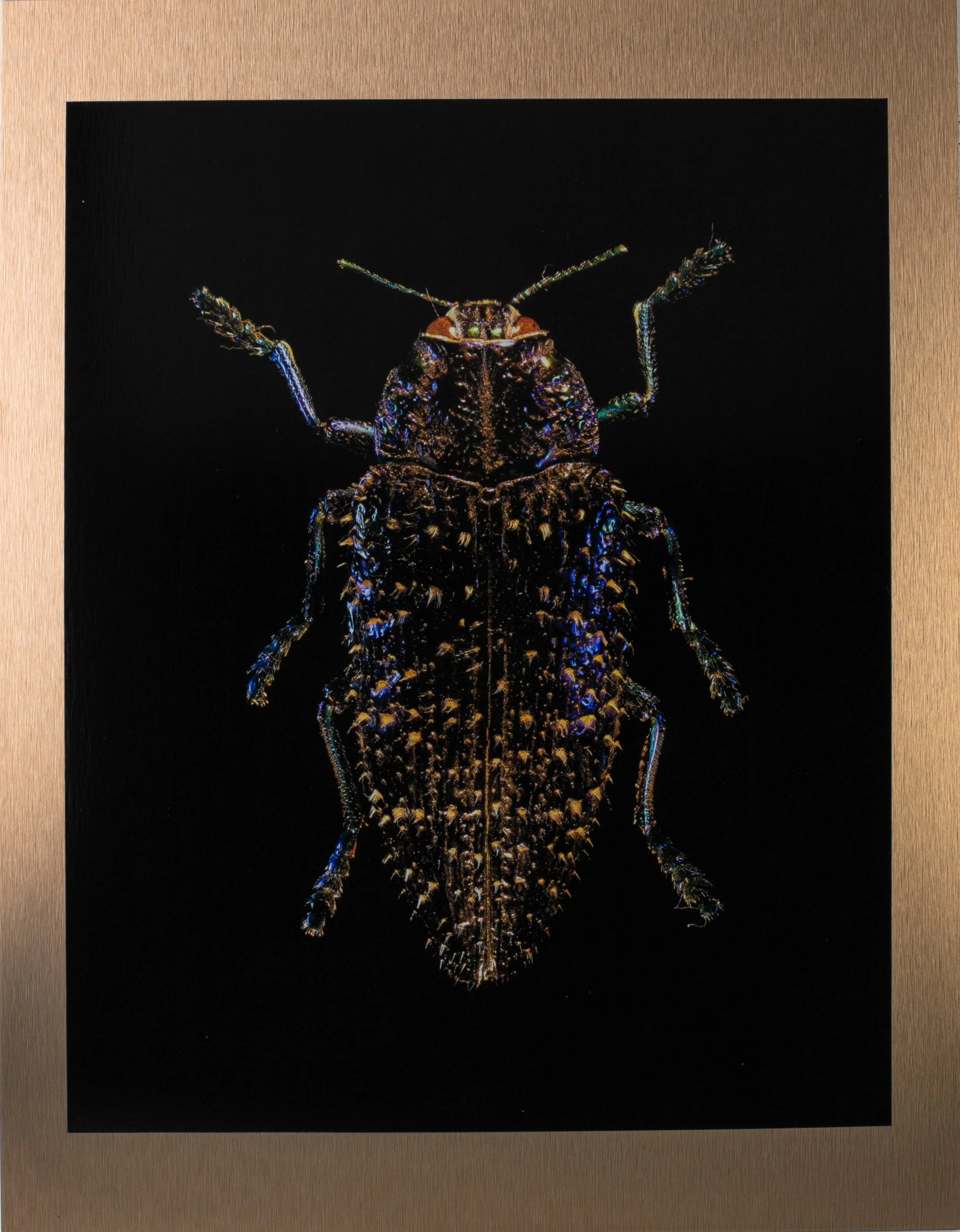 Gary Weekes — artwork
