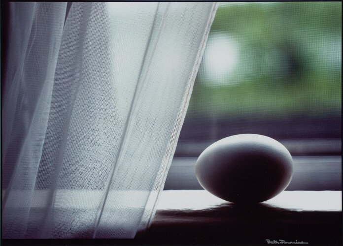 Beth Powning — artwork