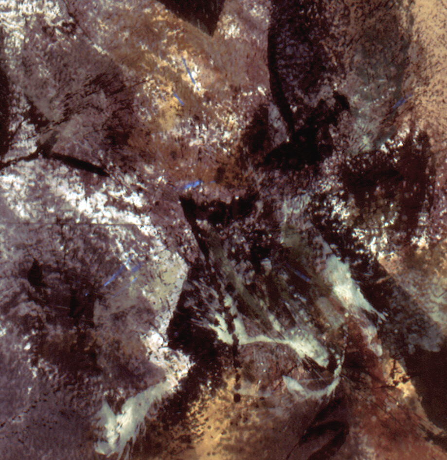 Don Reichert