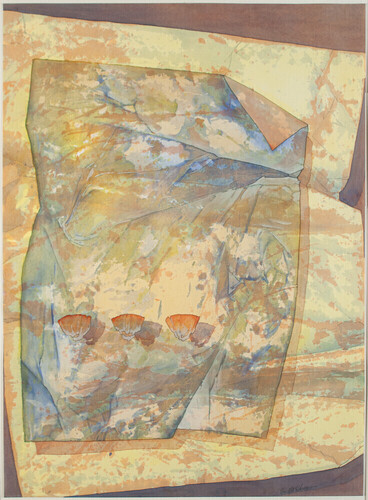 Dwight Siegner