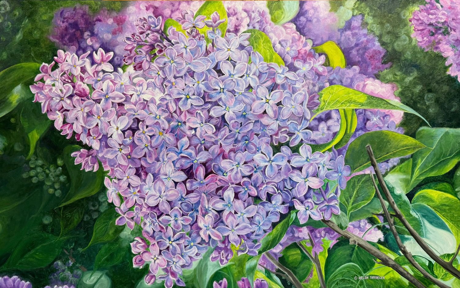 Helen Shideler — artwork