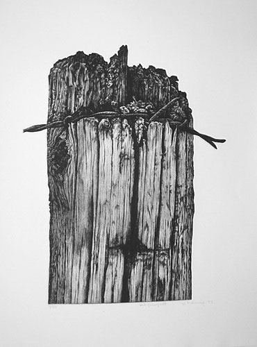 Jo Manning — artwork