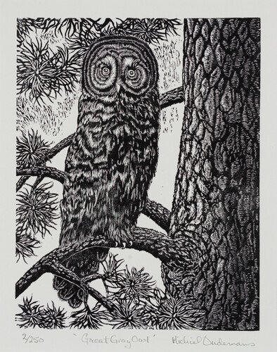 Michiel Alexander Oudemans — artwork