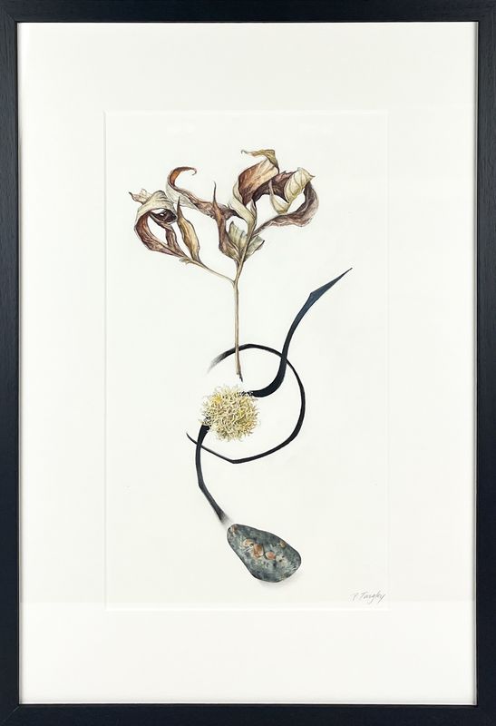 Patricia Tingley
