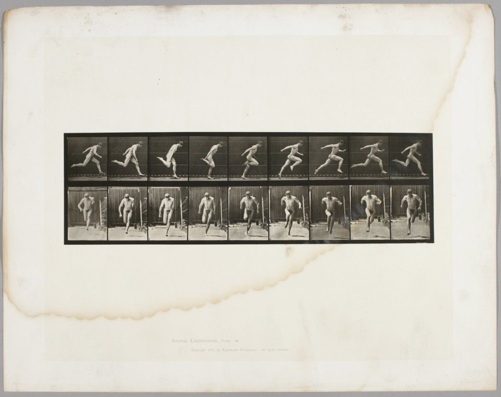 Eadweard Muybridge — artwork