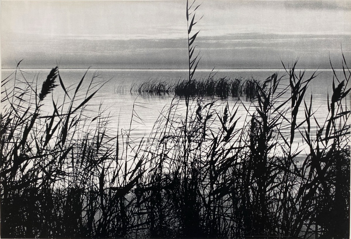 Lucien Clergue — artwork