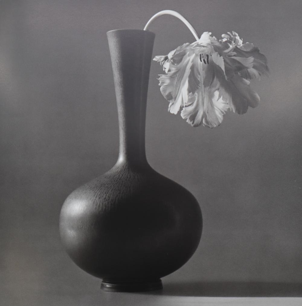 Robert Mapplethorpe — artwork