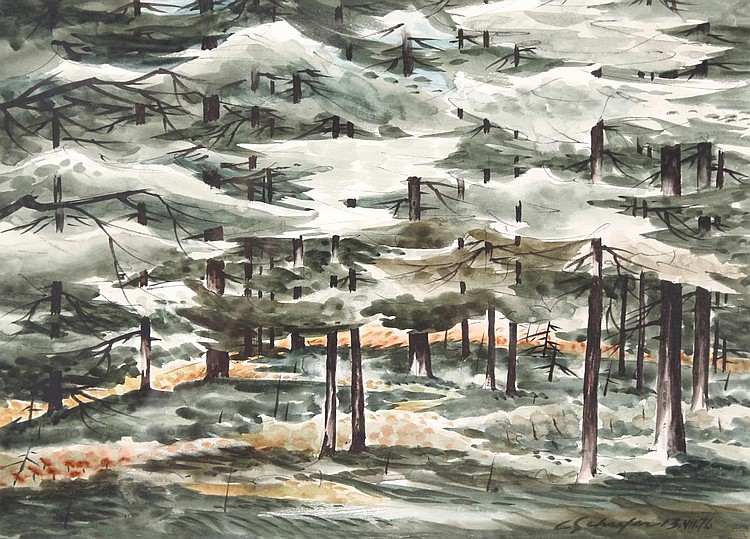 Carl Fellman Schaefer — artwork