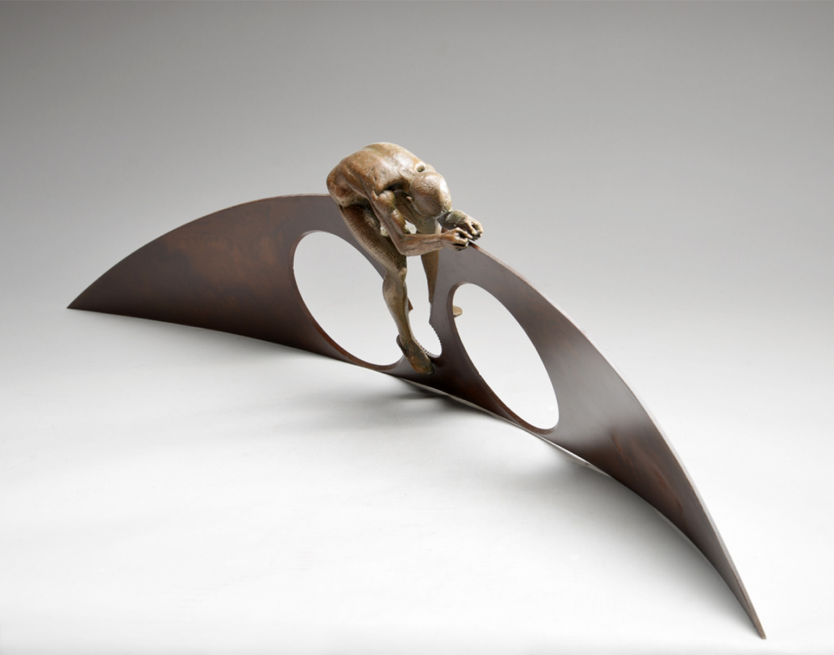 David Robinson — artwork
