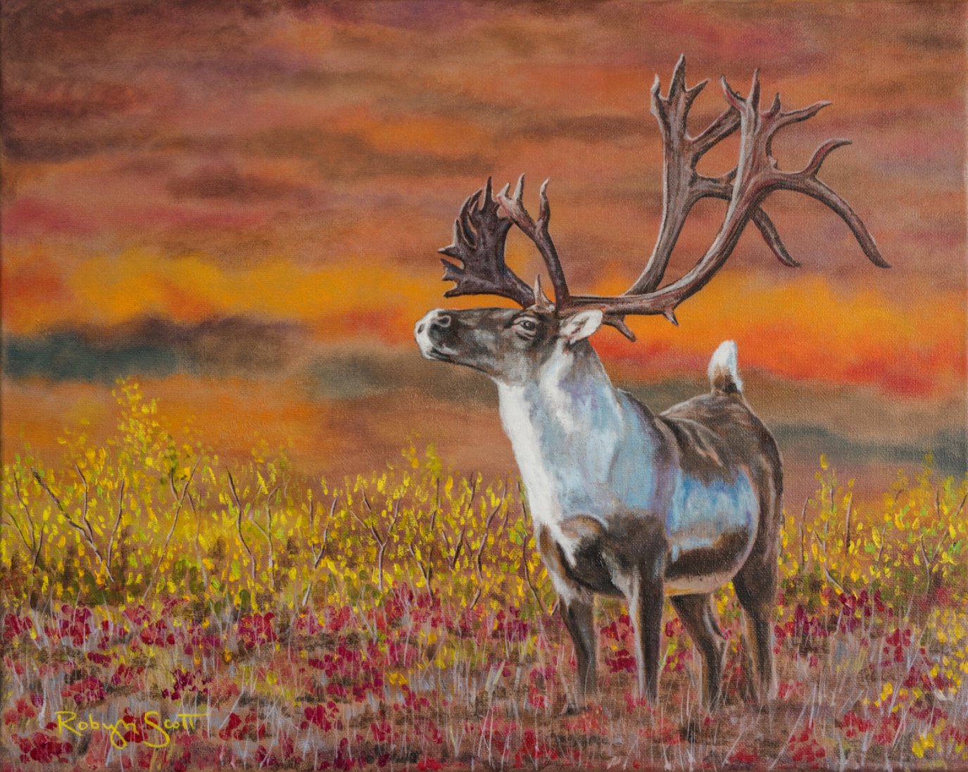 Robyn Scott — artwork