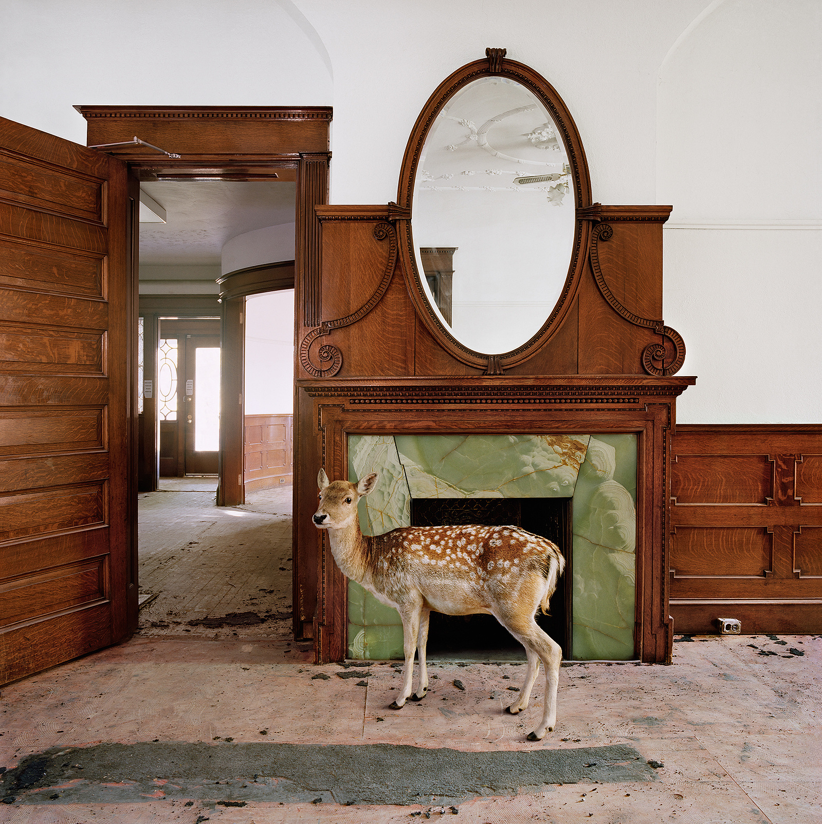 Maureen O'Connor — artwork