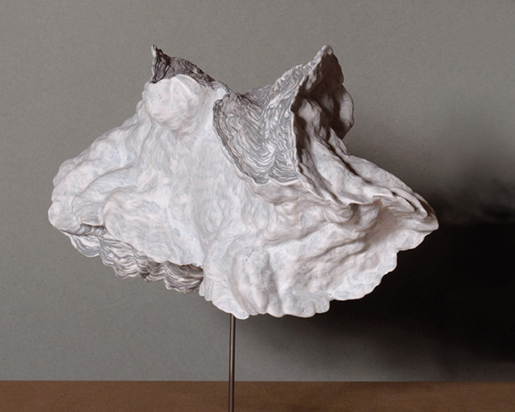 Allan Davidson — artwork