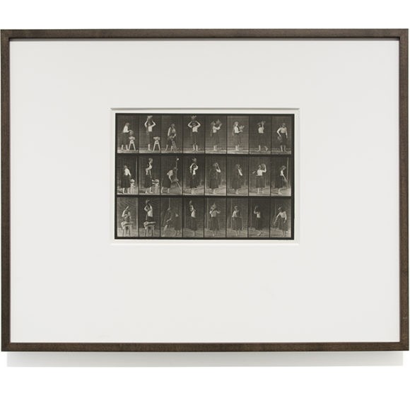 Eadweard Muybridge — artwork
