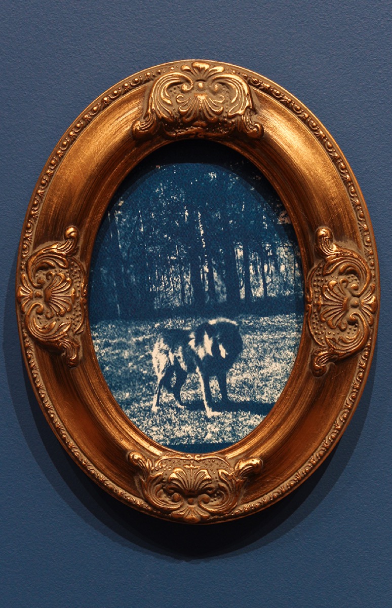 Mary Anne Barkhouse — artwork
