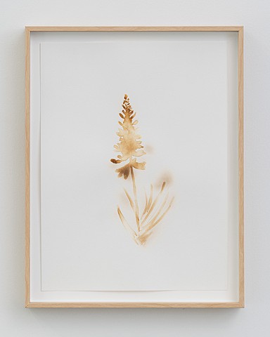 Alana Bartol — artwork