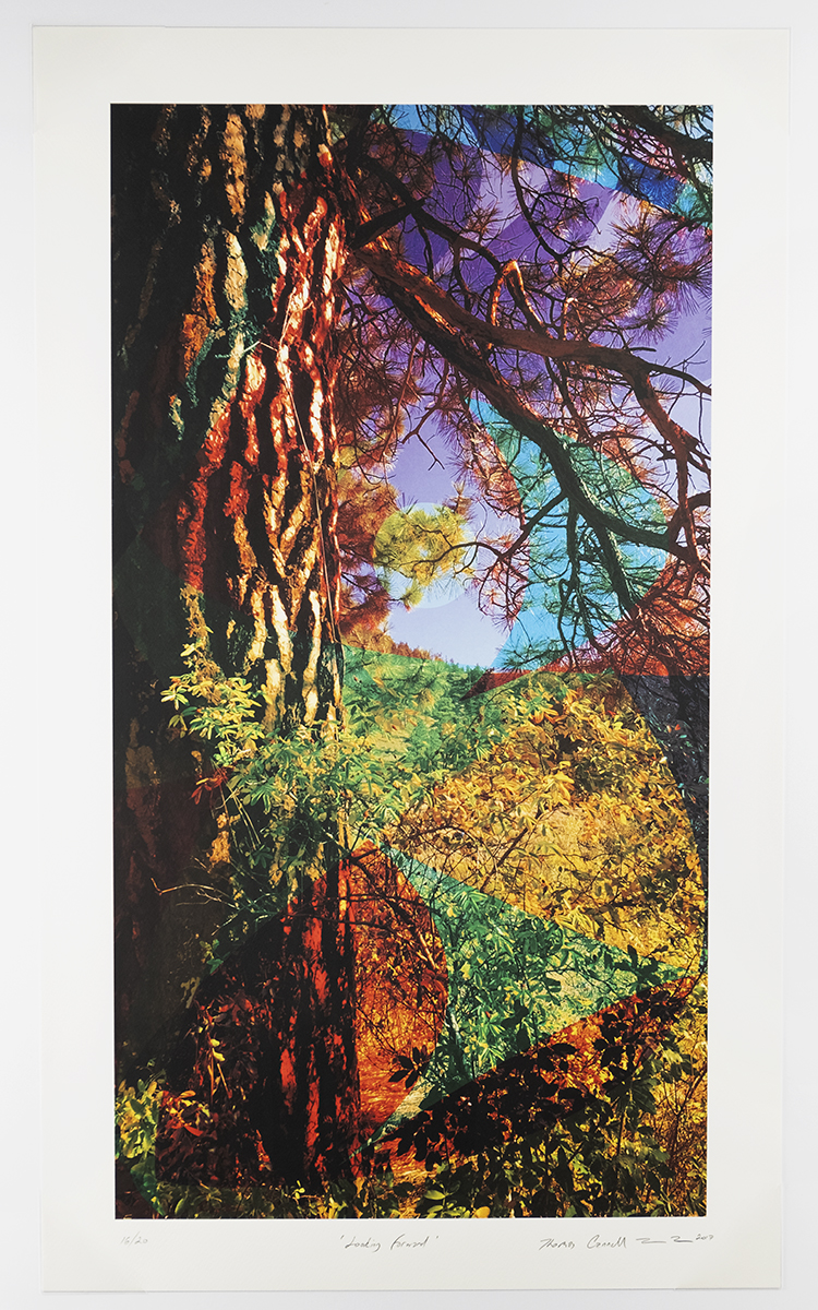 Thomas Cannell — artwork