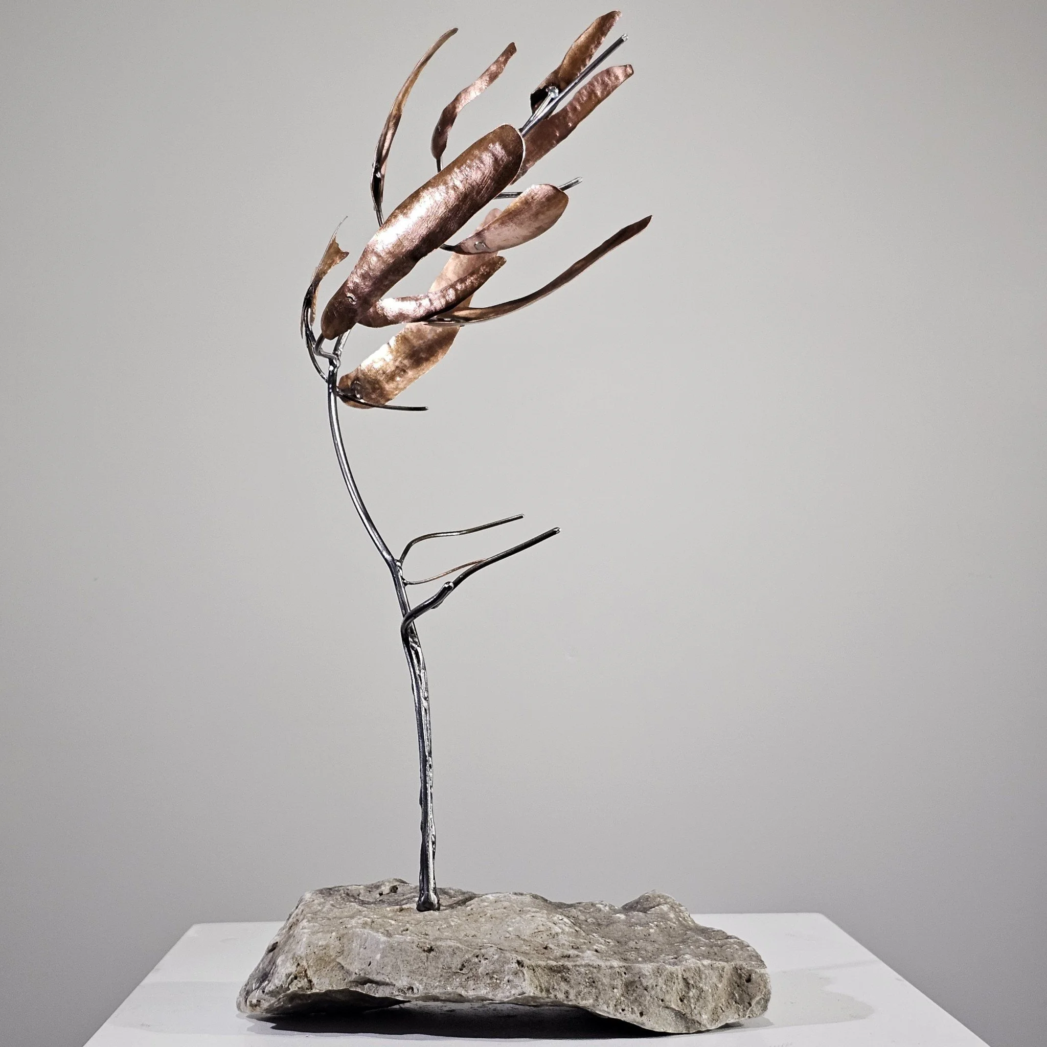 Richard Sturgeon — artwork