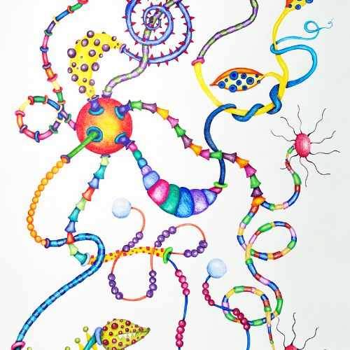 Sharon Eisbrenner