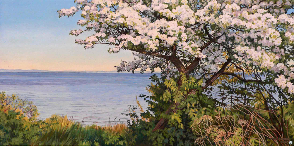 Anna Syperek — artwork