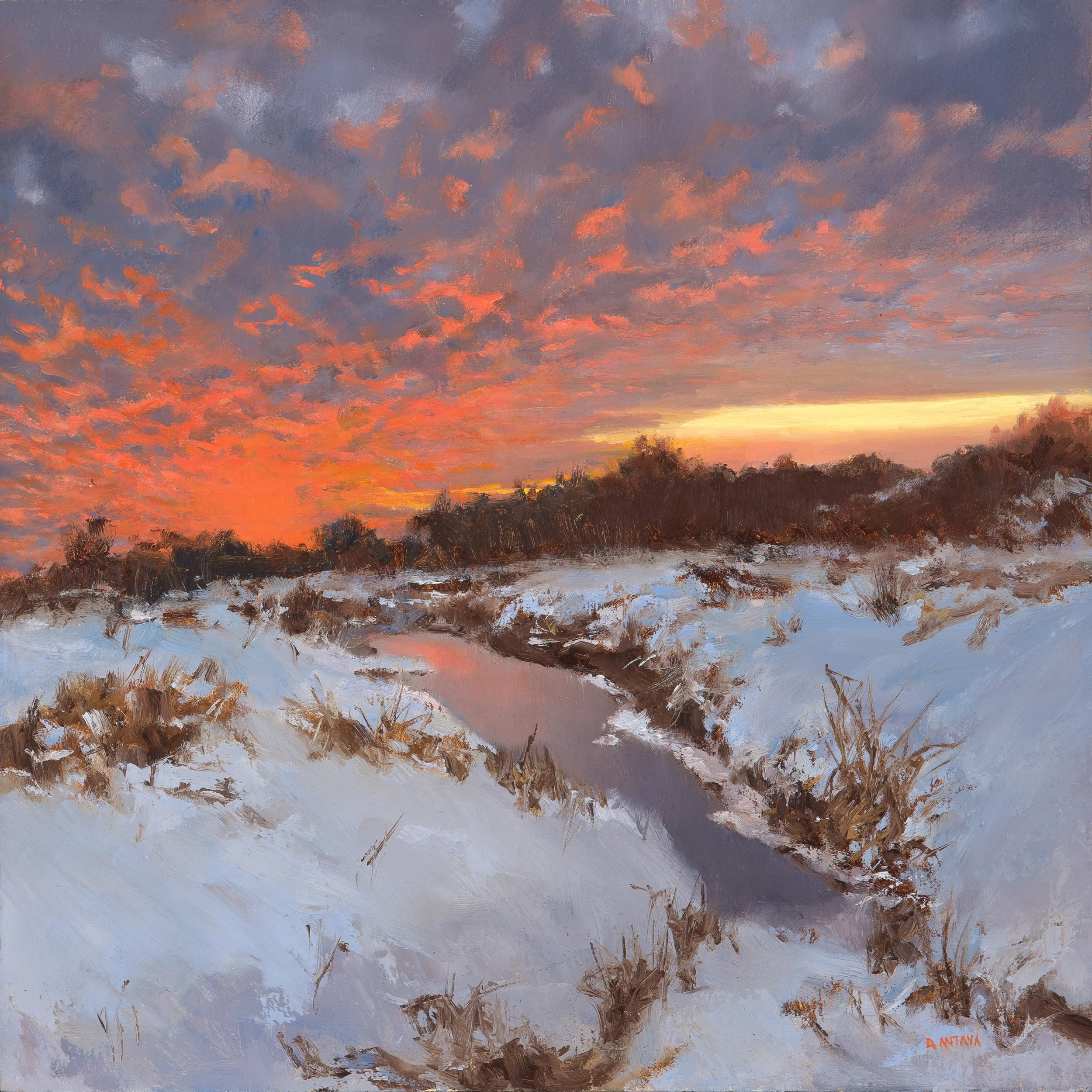 Denise Antaya — artwork