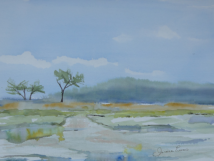 Janice Evans — artwork