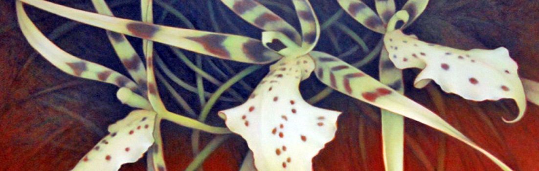 Gerda Hofman — artwork