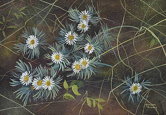 Mary Annora Brown — artwork