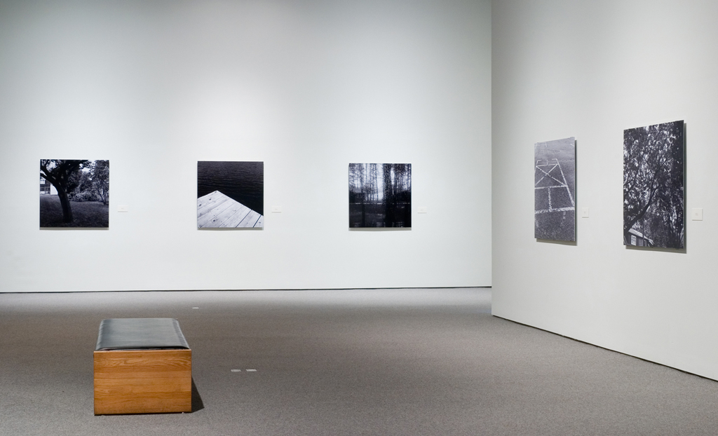 Cyndra MacDowall — artwork