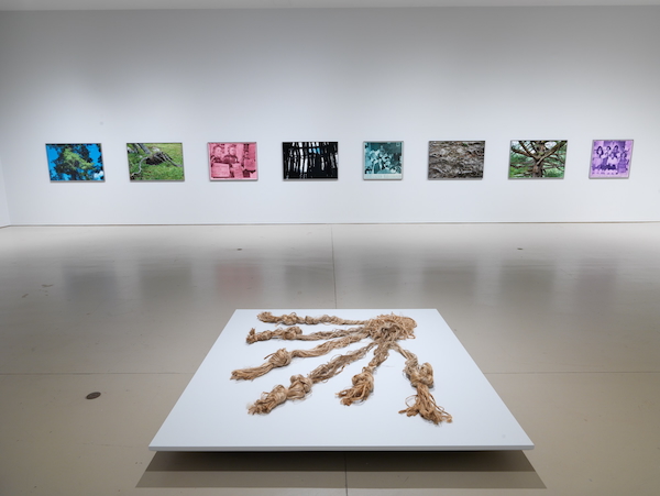 Greg Staats — artwork