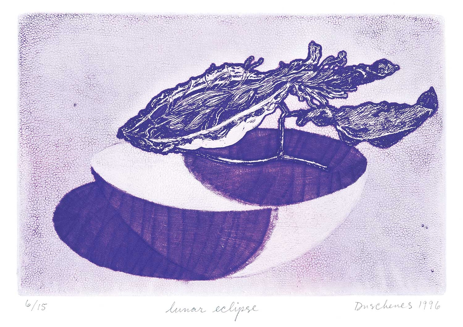 Julie Duschenes — artwork