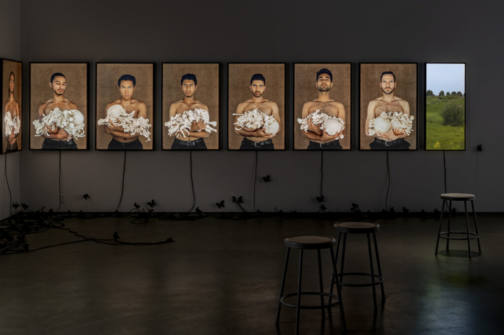 nichola feldman-kiss — artwork